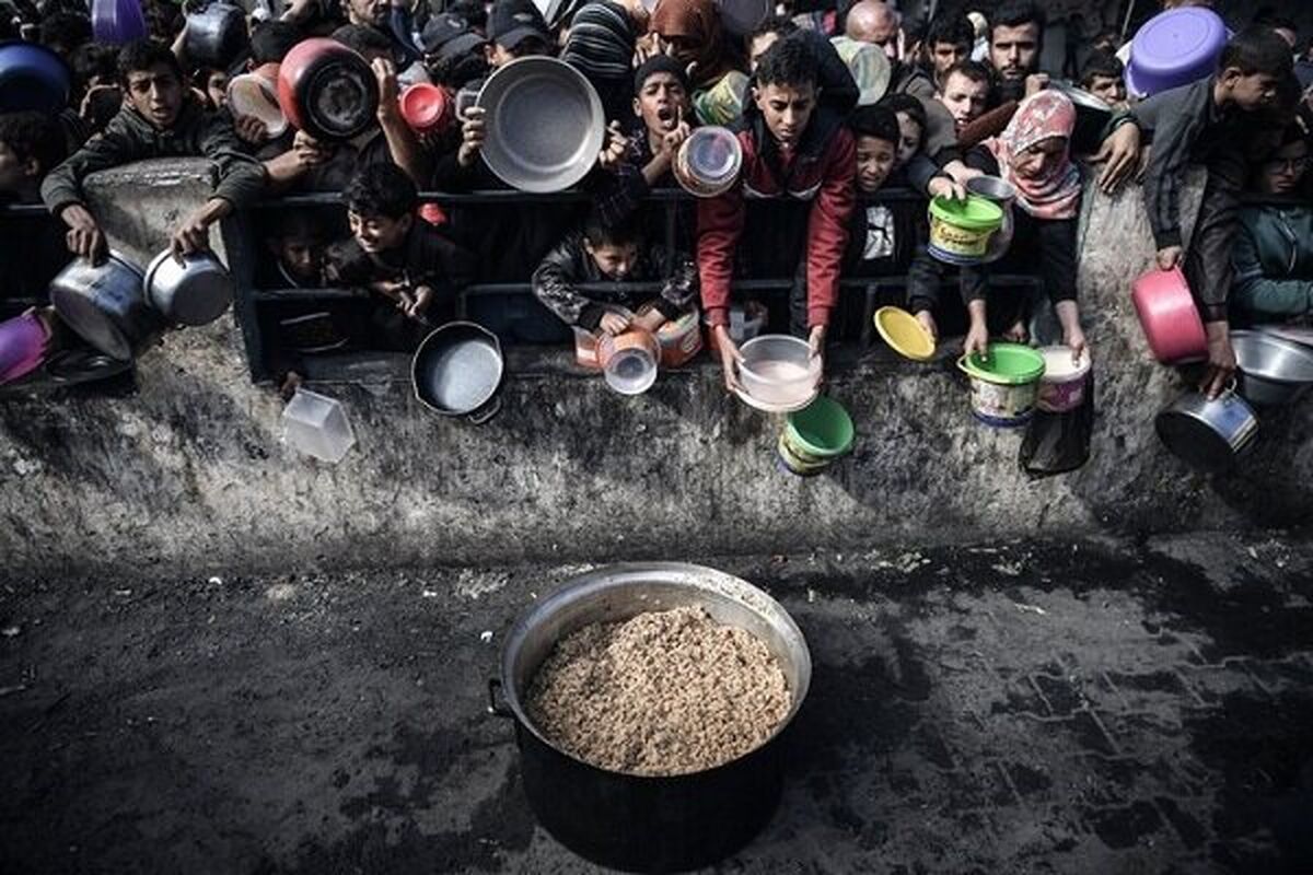 غزه