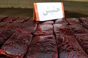 کشف ۱۵۰ کیلو حشیش طی بازرسی از خودرو در فارس