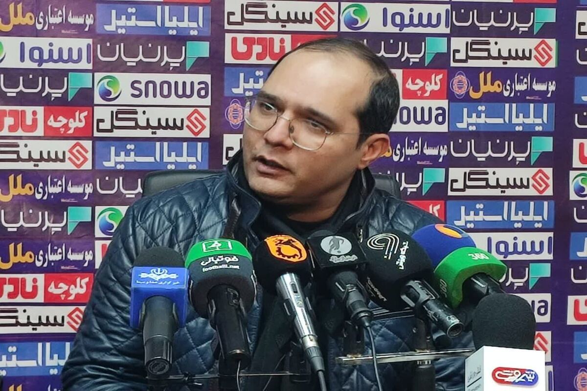 محمد ربیعی