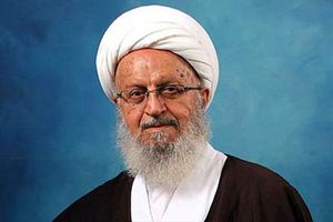 دریافت هزینه دیرکرد توسط بانک‌ها "ربای آشکار" است/مسوولان به فکر آسیب دیدگان سیل اخیر باشند