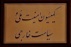 ستاد کل نیرو‌های مسلح تقریبا گزارش خود درباره سانحه هواپیمای اوکراینی را آماده کرده است