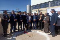 شبکه تولیدات لبنی فارس تشکیل شود/ عملیاتی شدن یکی از تفاهم نامه های سفر دوم دولت به فارس