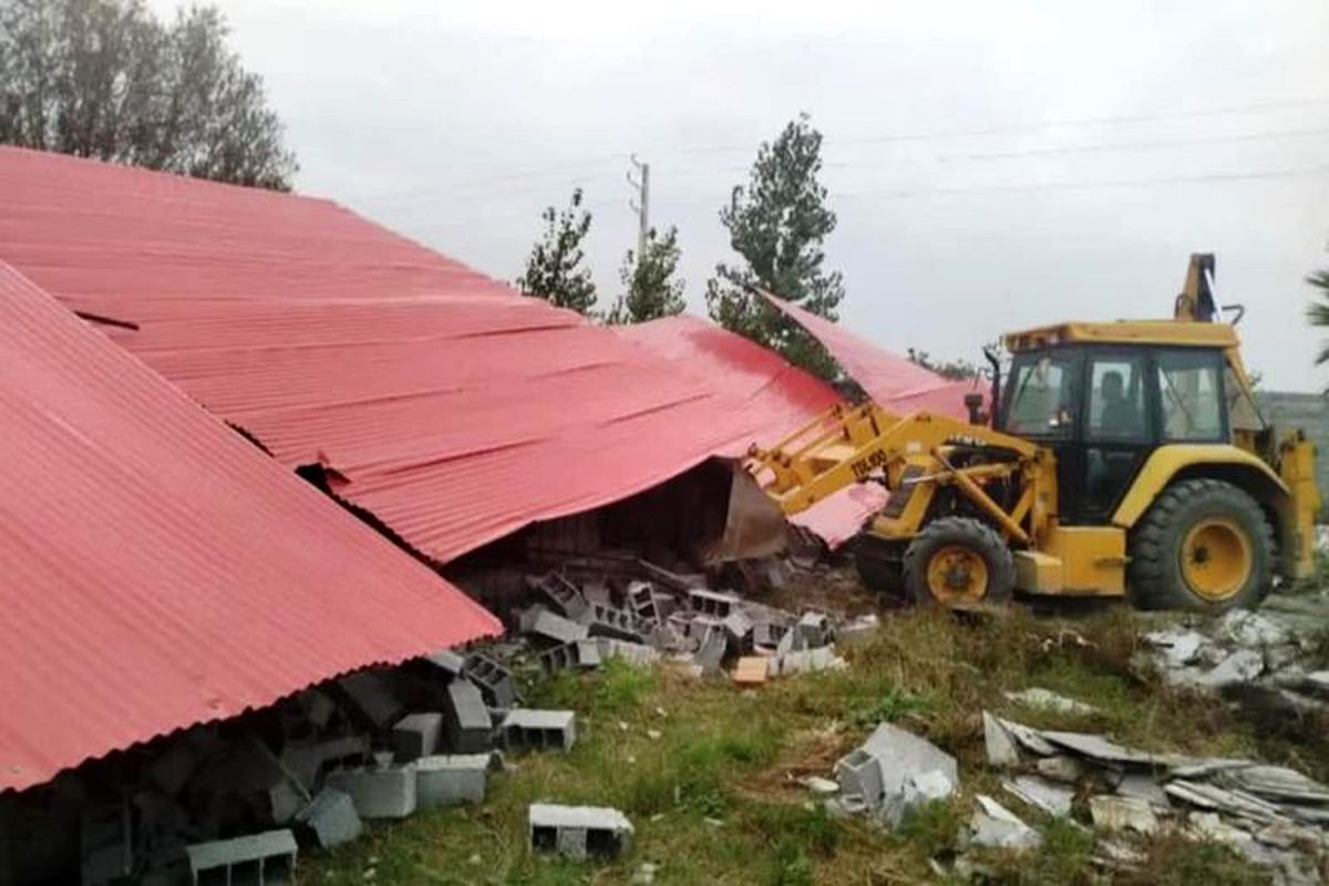 قلع و قمع بنای غیرمجاز در نور