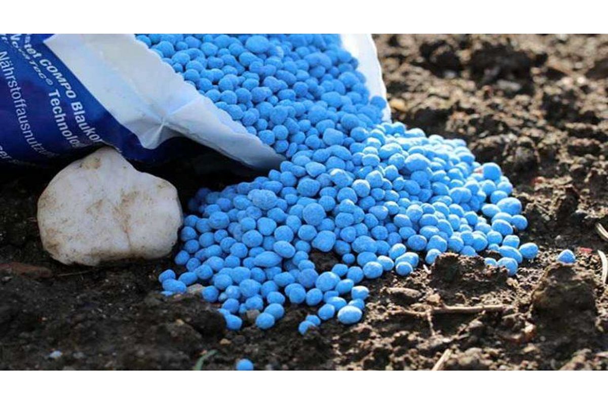 کود شیمیایی