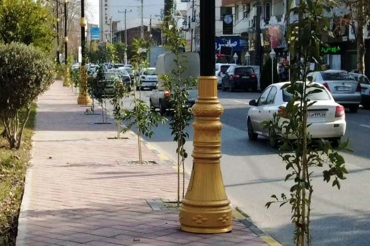 نهال کاری در شهر نوشهر