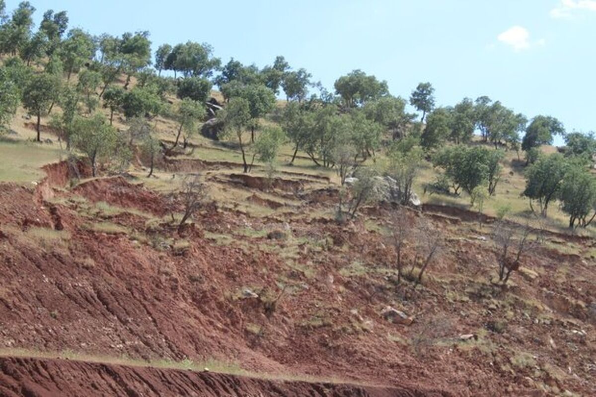 سازمان منابع طبیعی