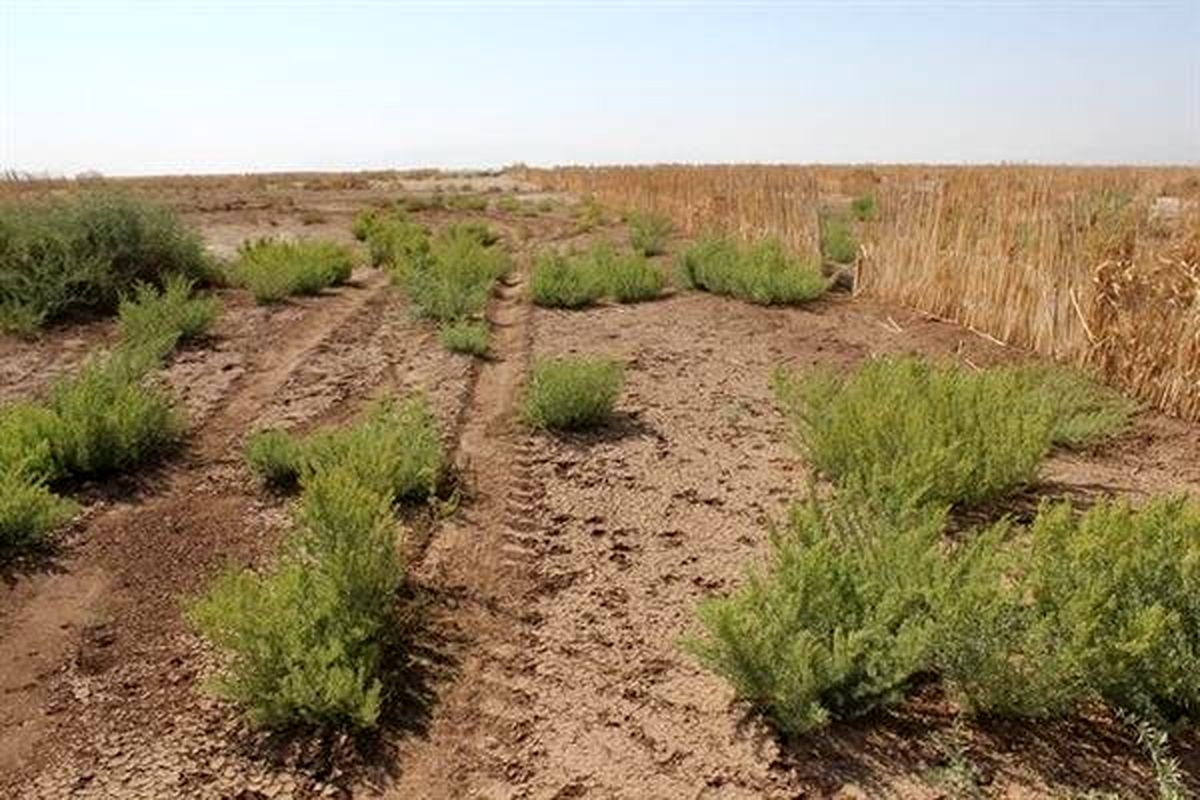 حفاظت منابع طبیعی و آبخیزداری خراسان رضوی