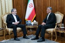 عراقچی بر تقویت مناسبات دوجانبه اقتصادی تهران و سئول تاکید کرد