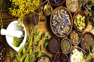 منظور ما از طب سنتی آن چیزی نیست که تبریزیان می‌گوید