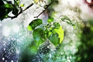 فعالیت سامانه بارشی در اواسط هفته آینده 