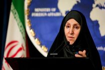 عملکرد غیر حرفه ای مدیر کل آژانس اتمی باعث حمله نظامی به ایران شد