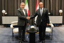 دیدار وزیران امور خارجه ایران و مصر + فیلم