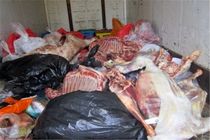 کشف، ضبط و امحای ۳ تن فرآورده خام دامی ناسالم