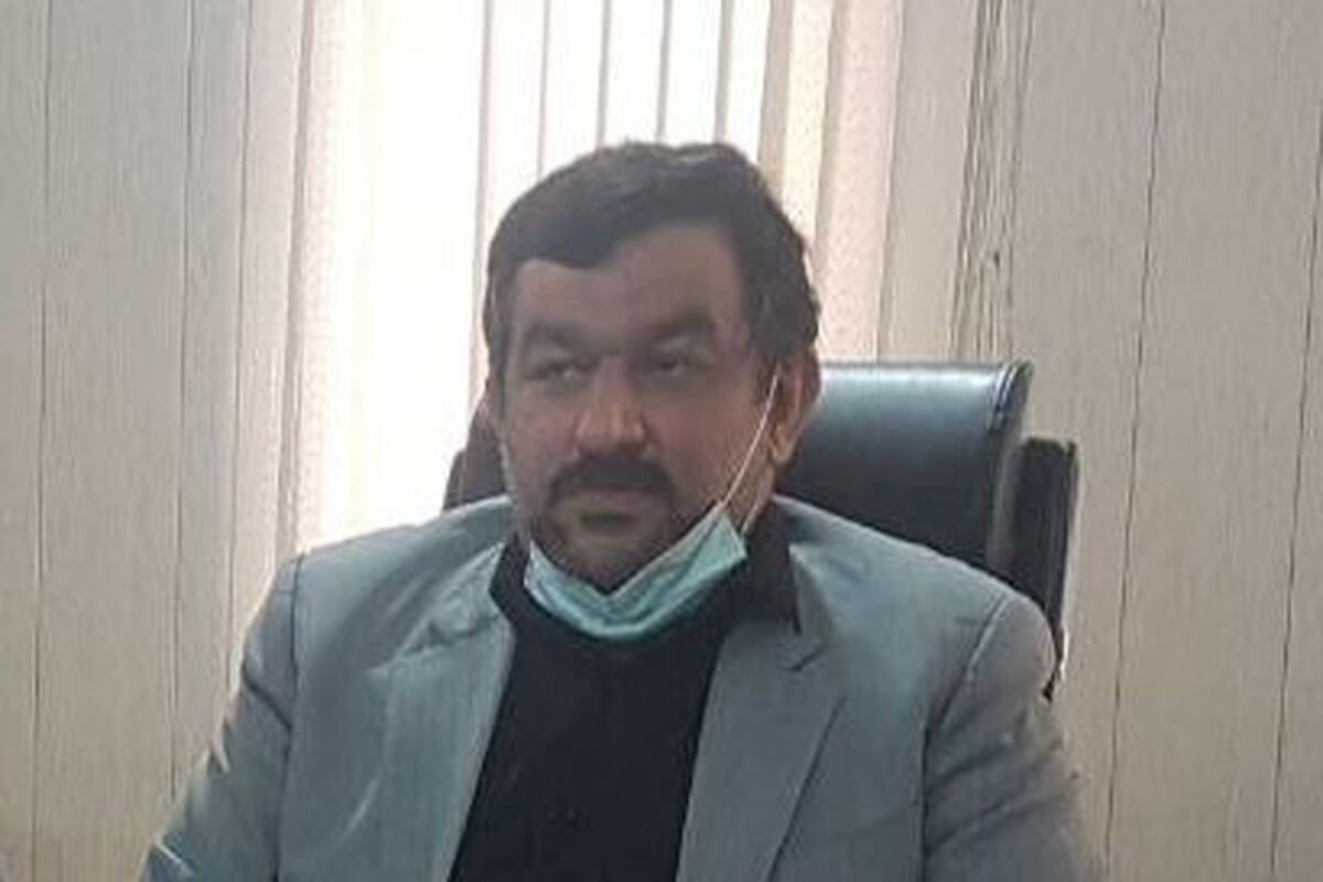 علیزاده