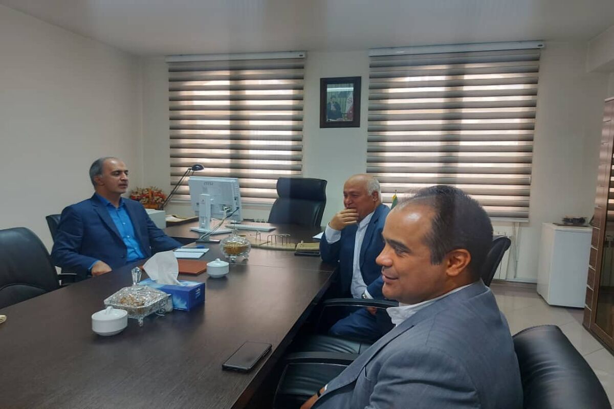 فدراسیون اسکیت