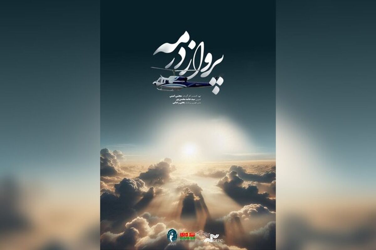 پرواز در مه