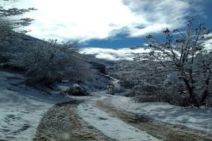 گرفتار شدن بیش از 315 نفر در محورهای برفگیر مازندران