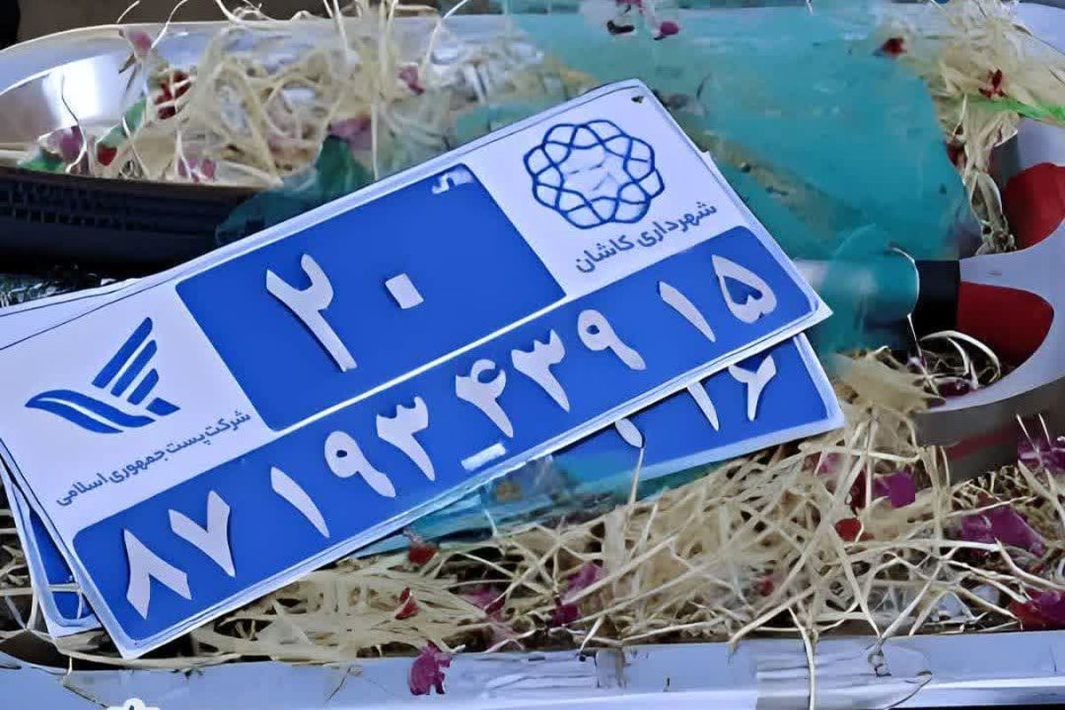 پلاک هوشمند