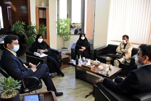 استفاده از طرح مشاغل خانگی تا پایان آبان ماه تمدید شد/ مدرک تحصیلی بدون مهارت دلیل بیکاری استان است