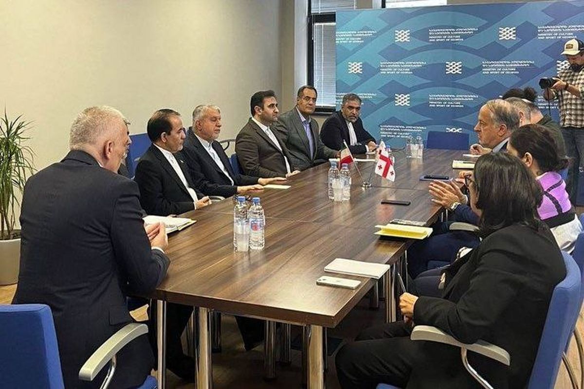 دیدار وزیر میراث فرهنگی با وزیر فرهنگ گرجستان