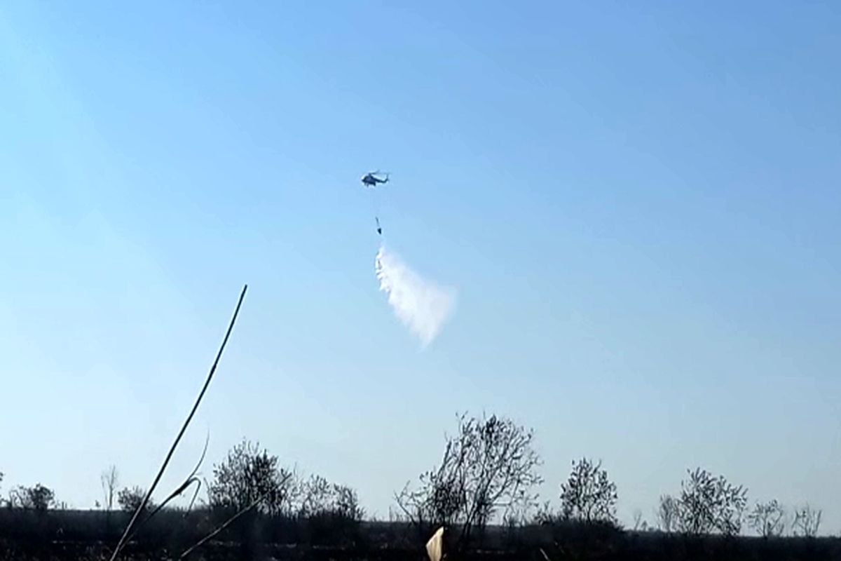 آتش سوزی نیزار‌های تالاب انزلی