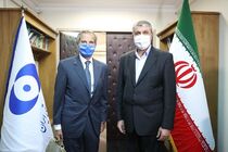 ابراز خرسندی رافائل گروسی از دیدار با محمد اسلامی