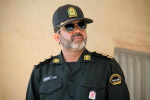 ضارب شهدای مدافع وطن دستگیر شد