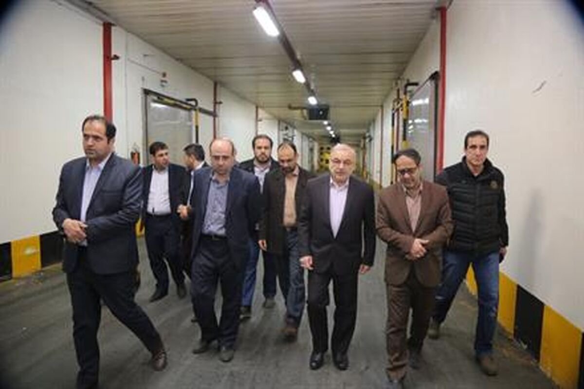 بازدید