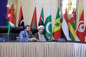 ایران با تمام توان در تقویت آمبودزمان‌ها آماده همکاری با دیگر کشورهای اسلامی است