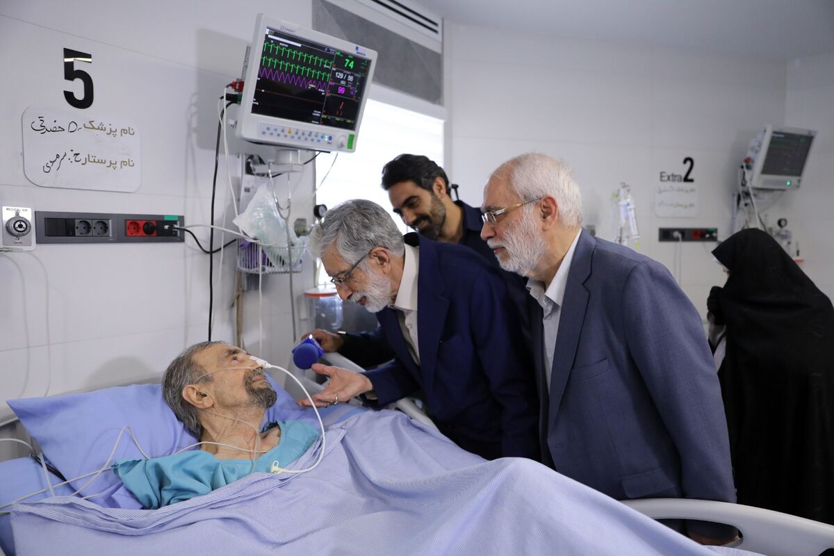 نمایندگان رهبر