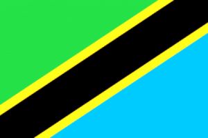 وزیر امور خارجه تانزانیا وارد تهران شد