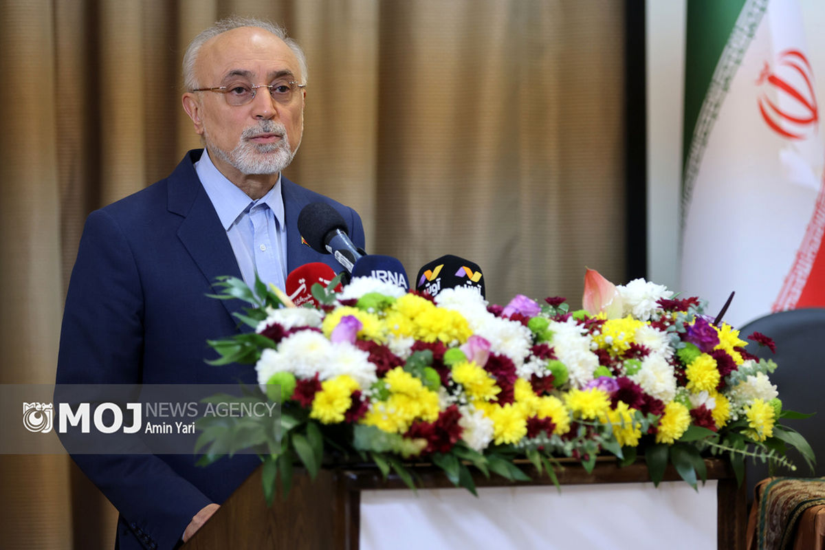 اجلاس بین المللی ایران شناسی؛دیپلماسی فرهنگی و تعاملات بین المللی