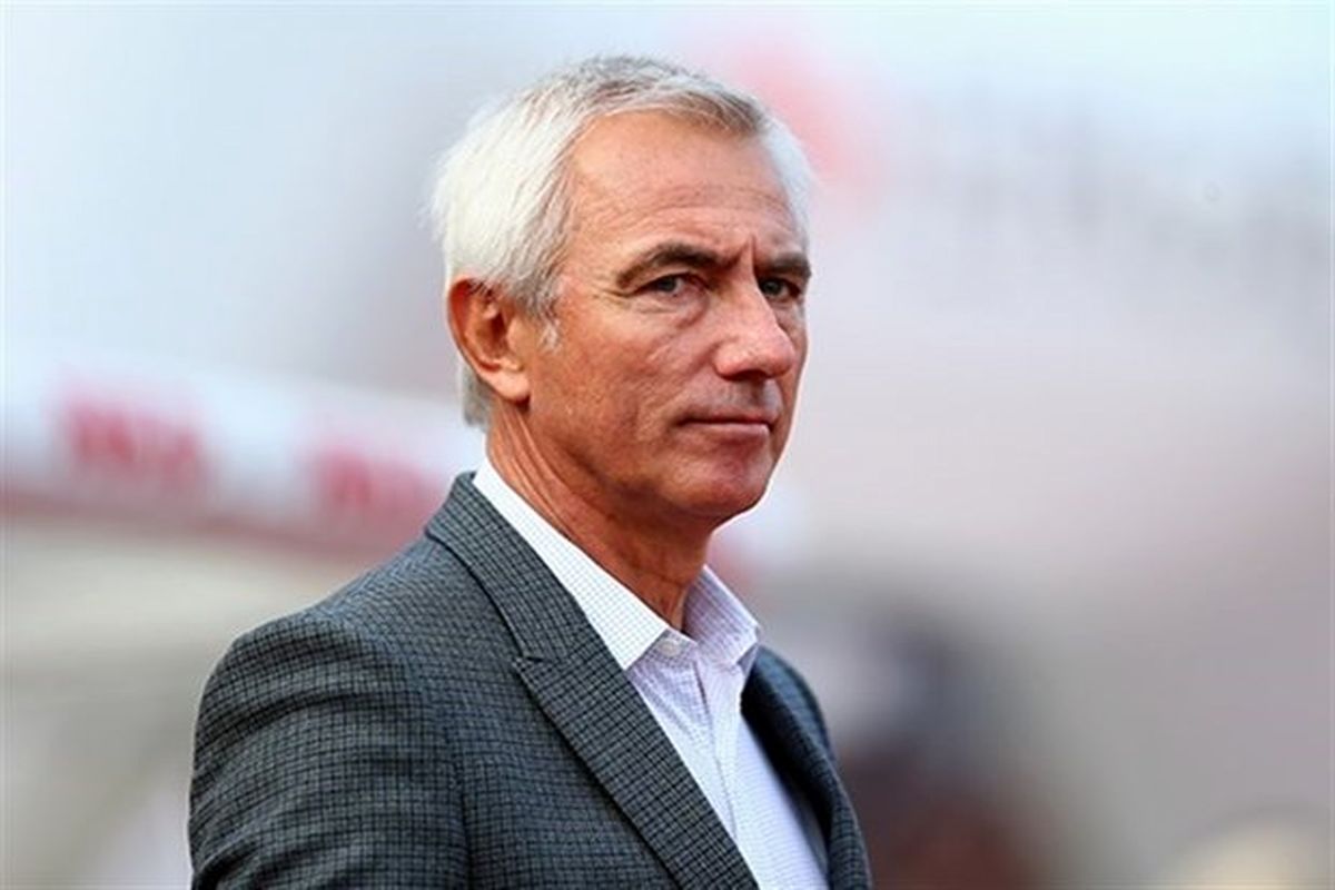 برت فن مارویک