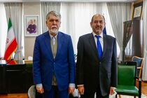 اکو فرهنگی باید با اقتصاد فرهنگ پیوند بخورد