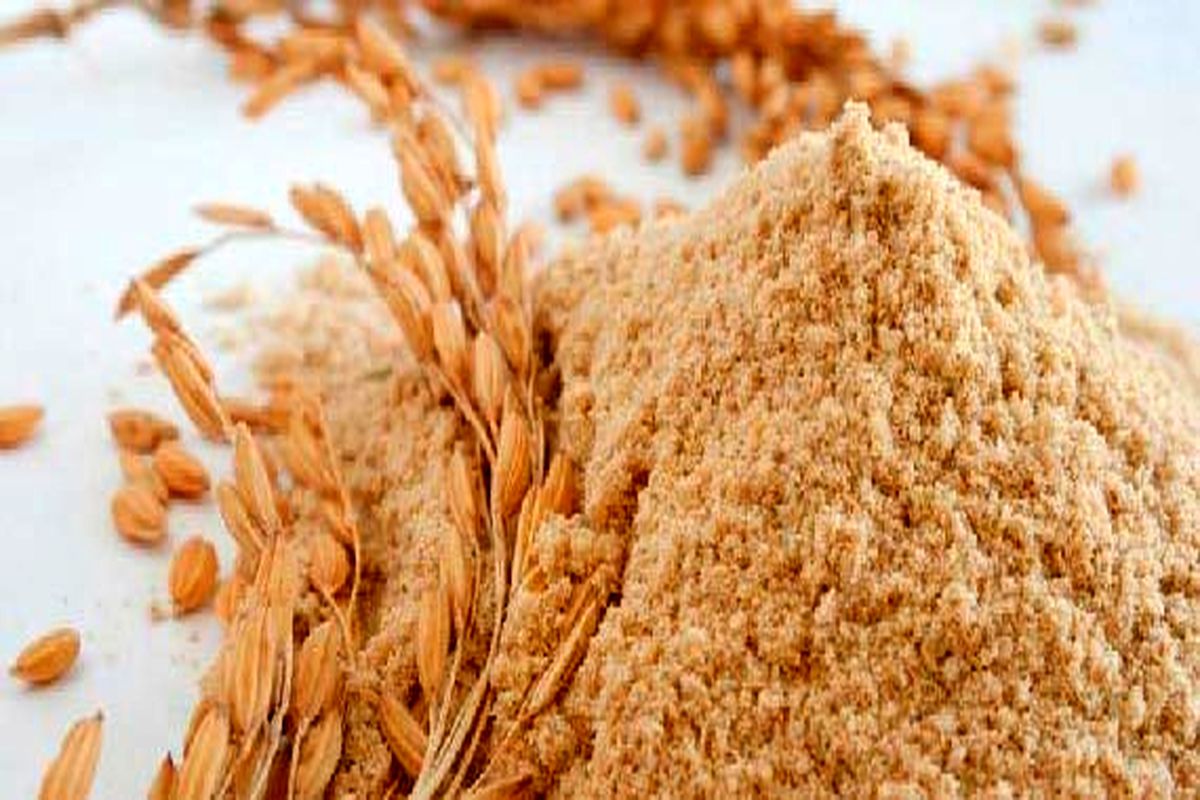 سپوس گندم
