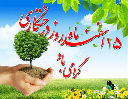 شهرداری کرمانشاه، تولد کهنسالترین درخت شهر را جشن میگیرد
