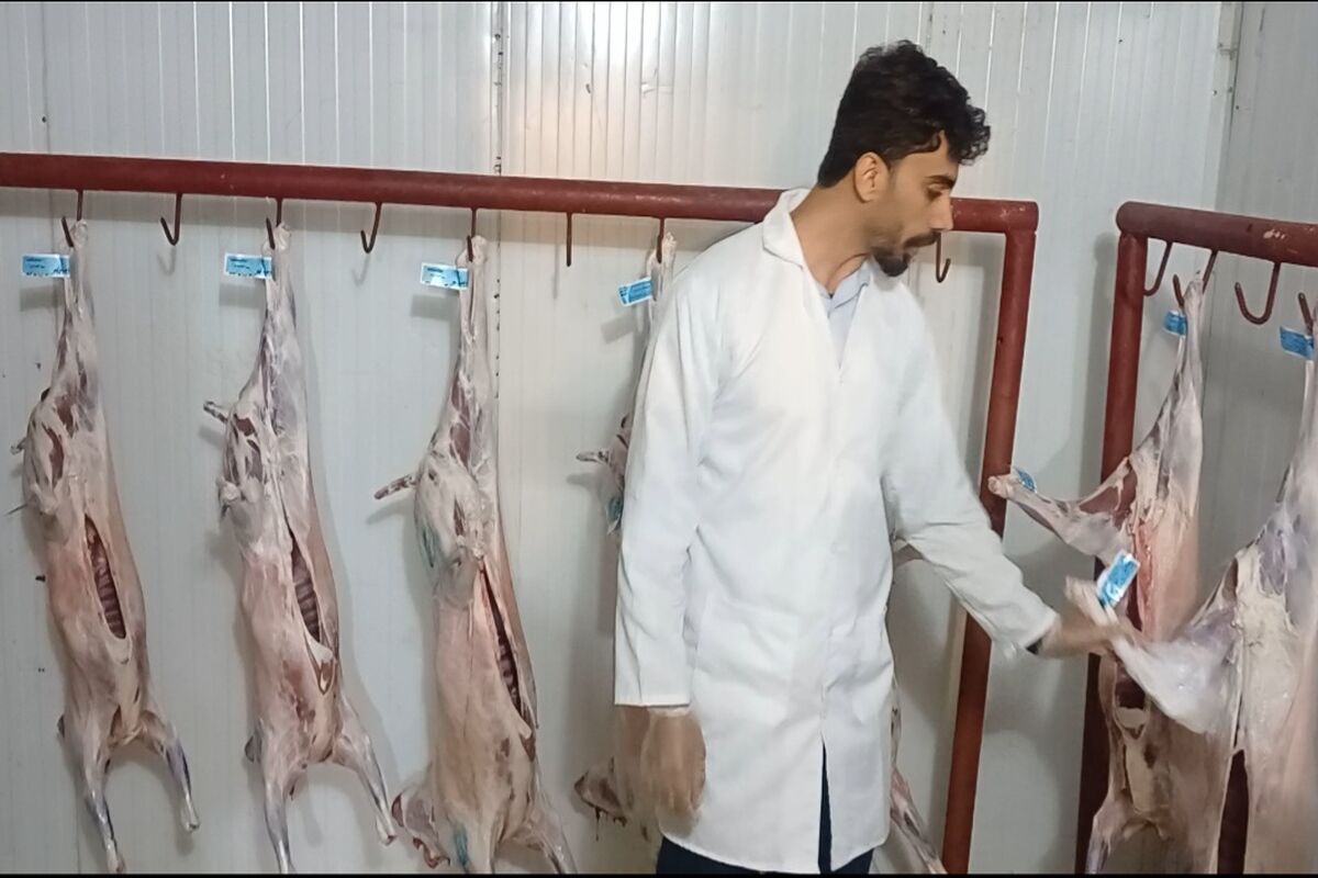 دامپزشکی
