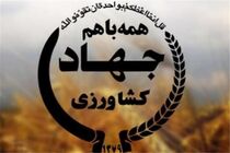۵۹۰ میلیون دلار سرمایه‌گذاری‌ خارجی در بخش کشاورزی جذب شد