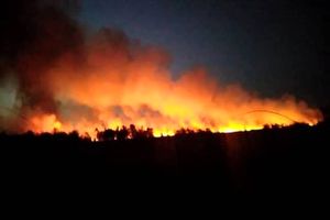 آتش دست از بخش عمده آتش‌سوزی تالاب شادگان کشید