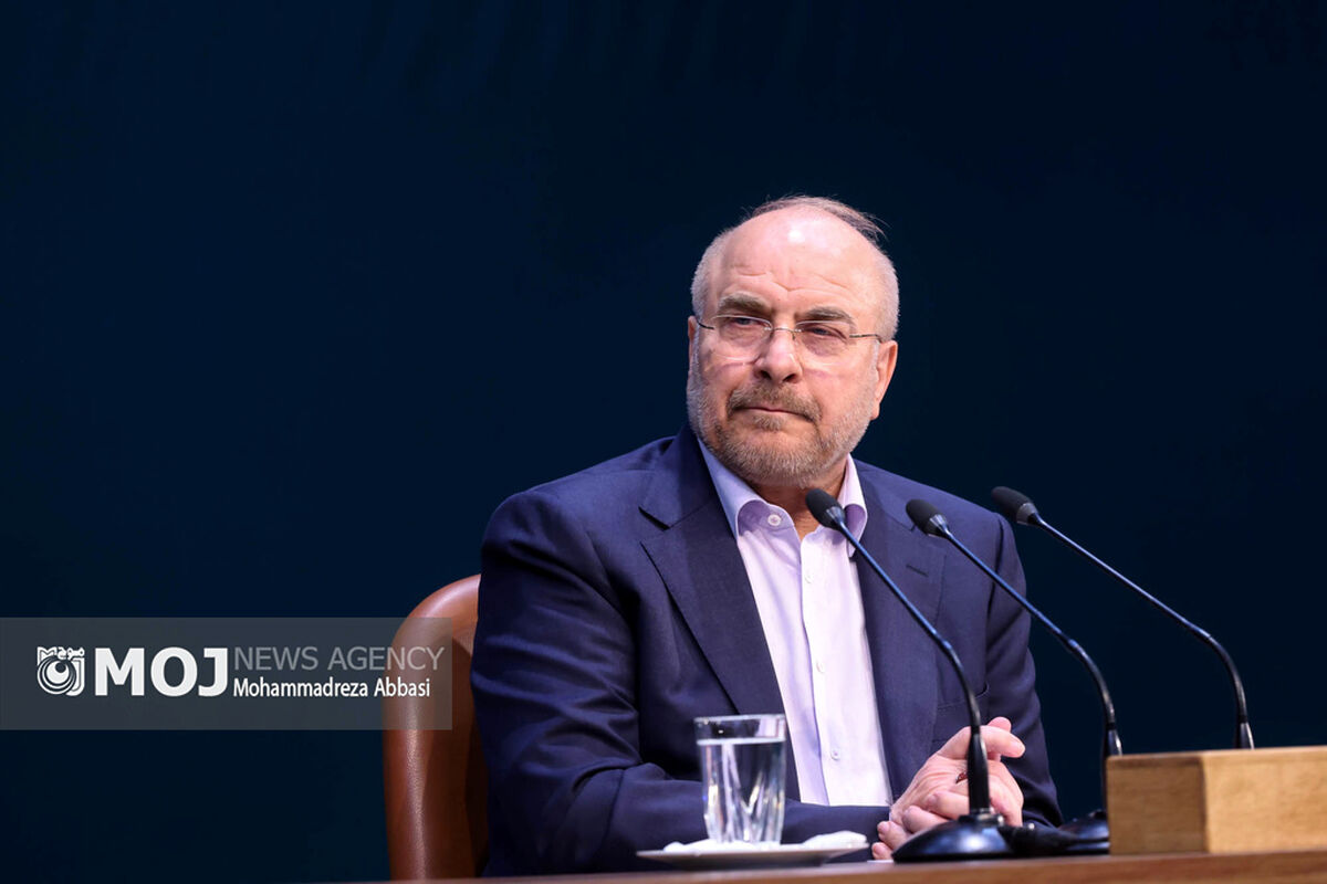 نشست خبری رئیس مجلس شورای اسلامی