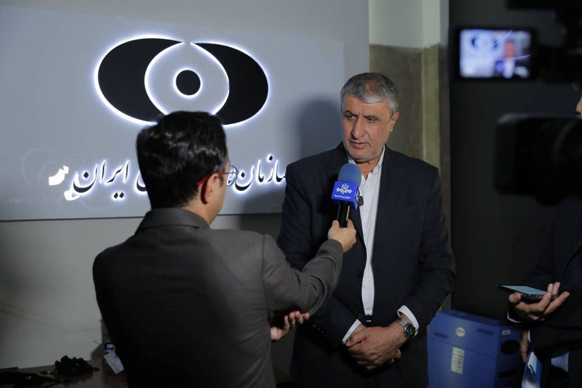 رئیس سازمان انرژی اتمی