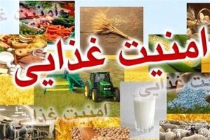 بخش کشاورزی امنیت غذایی جمعیت ۹۰ میلیون نفری کشور را تامین می کند