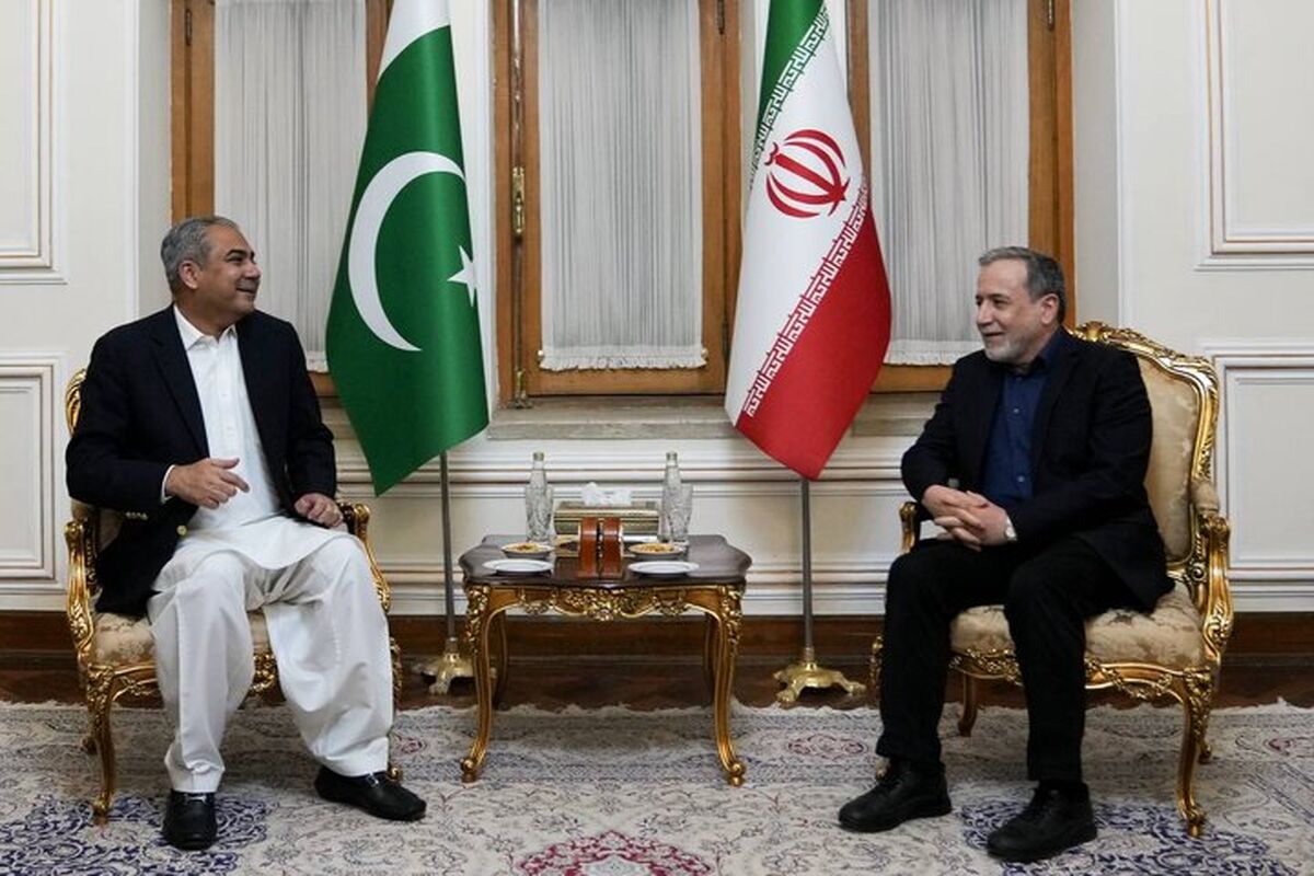وزیر کشور پاکستان با عباس عراقچی رایزنی کرد