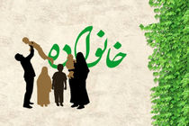 استفاده از ظرفیت سازمان های مردم نهاد در راستای فرهنگسازی جوانی جمعیت و فرزندآوری