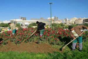 مدیران باید برای توسعه پایدار با نگاهی عادلانه به بحث فضای سبز اهتمام ورزند