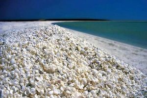 بندرلنگه، عروس بندرهای خلیج فارس/جاذبه‌های گردشگری بندرلنگه را بهتر بشناسید