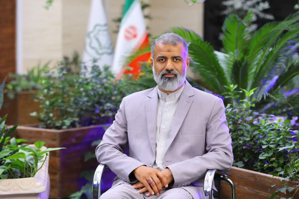 علی مؤمن حجازی