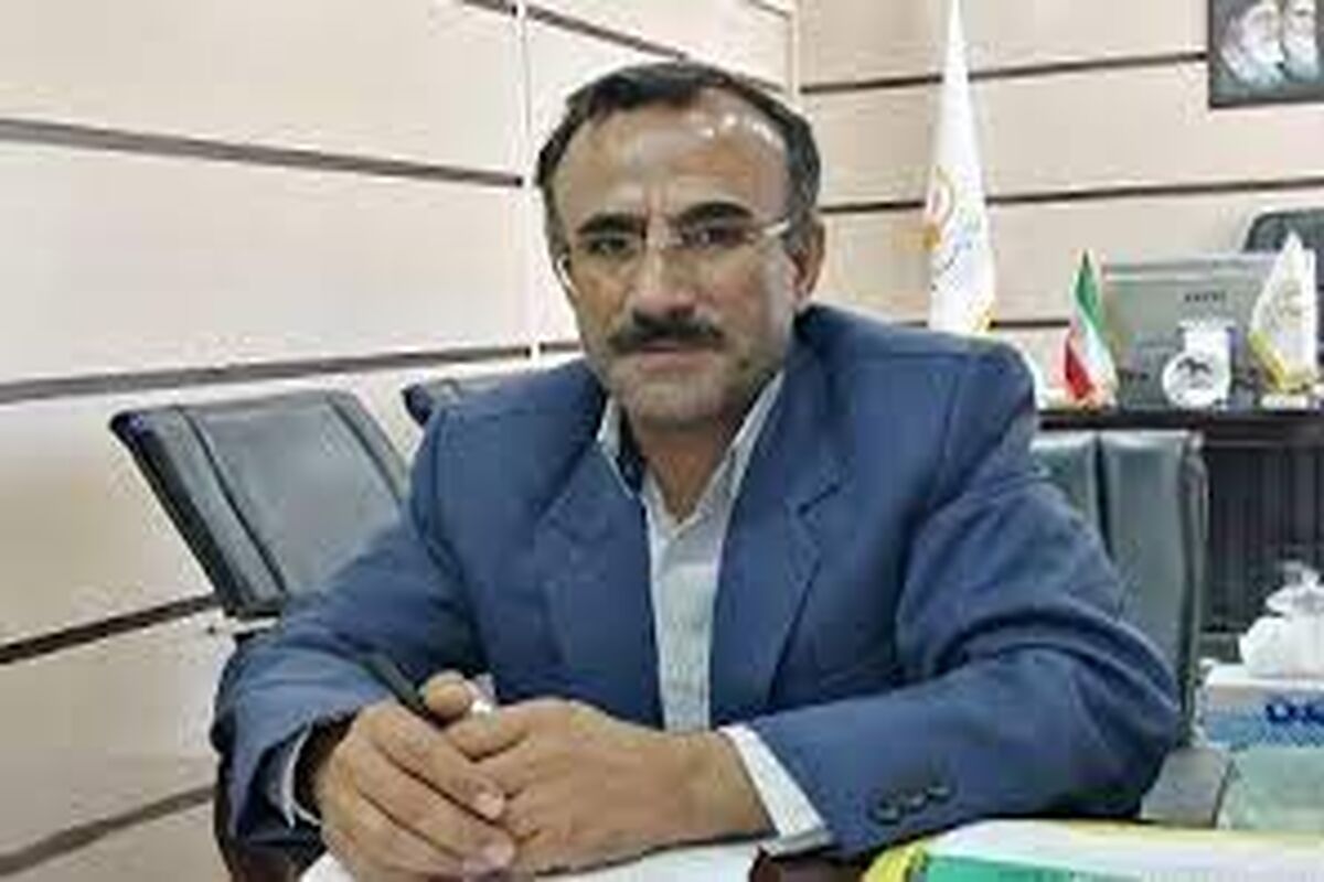 محبی