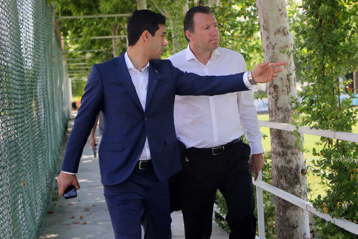 مارک ویلموتس