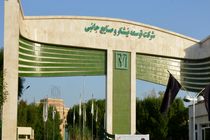 کشت متناوب چهار محصول اساسی در مزارع نیشکر در دستورکار قرار گرفت